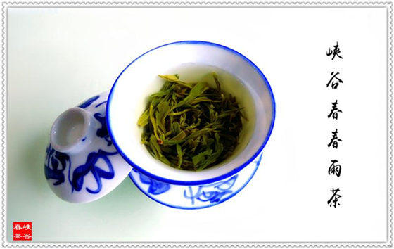 月夜骑行至思口得品峡谷春茶