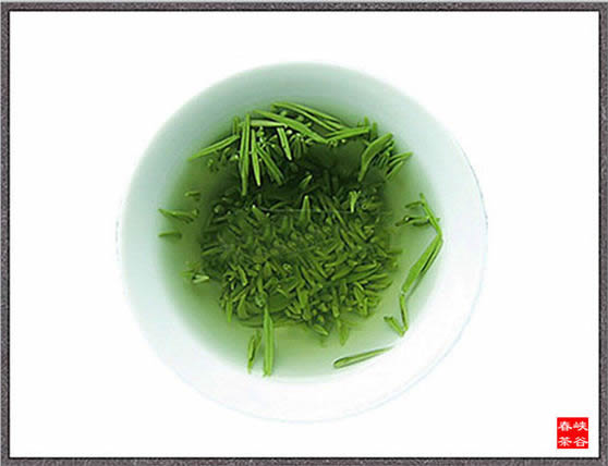 婺源峡谷春雾眉茶