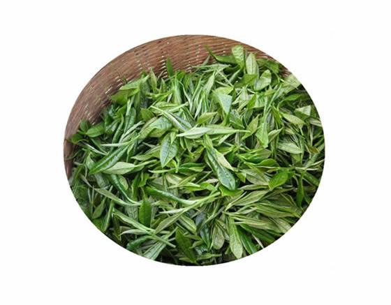 婺源峡谷春醉香茶