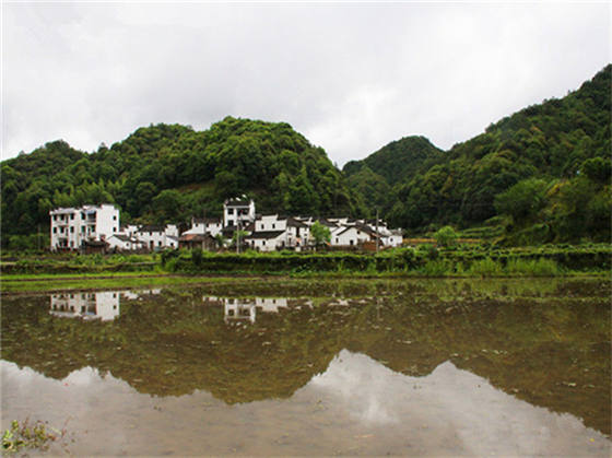 西源的石峡林