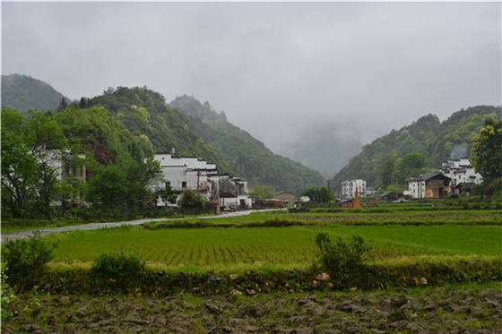 西源的石峡林