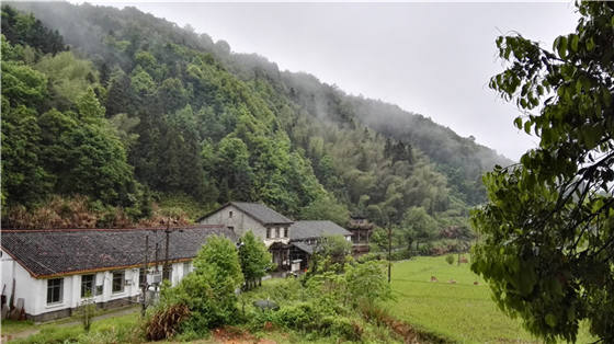 西源的石峡林