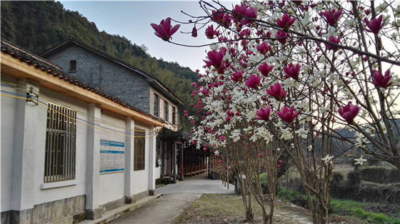 西源的石峡林