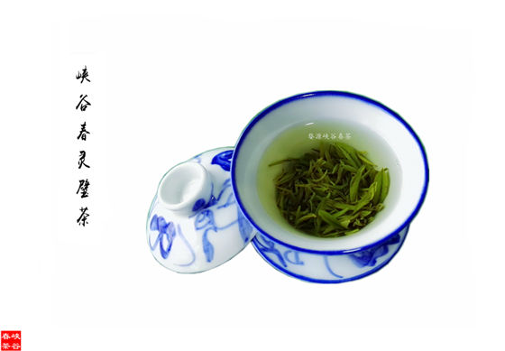 婺源峡谷春灵璧茶