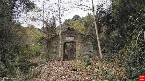 洪忠佩:唤醒一碗茶