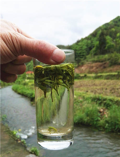 洪忠佩:唤醒一碗茶