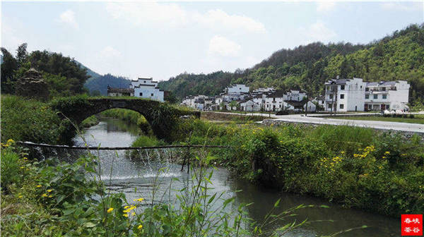 乡村美景忆西源,茶香还数峡谷春