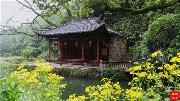乡村美景忆西源,茶香还数峡谷春