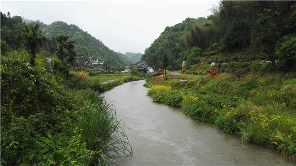乡村美景忆西源,茶香还数峡谷春