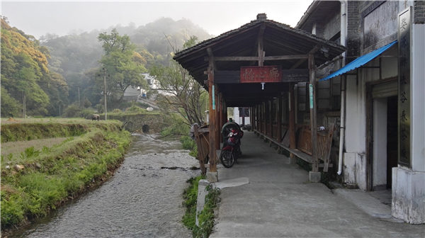 乡村美景忆西源,茶香还数峡谷春