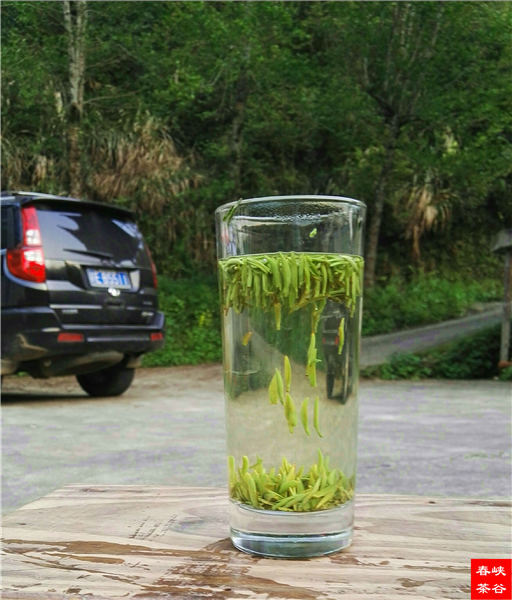乡村美景忆西源,茶香还数峡谷春