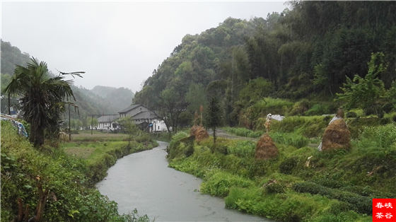 西源石峡林风光