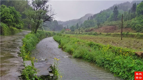 西源石峡林风光