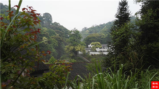 西源石峡林风光