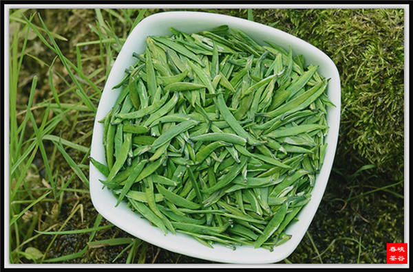 茶味术语