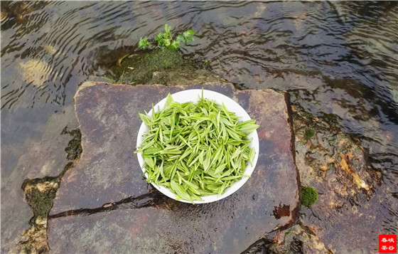 峡谷春灵壁茶