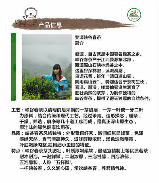 峡谷春春雨茶