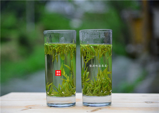 江西婺源:茶农网上“卖茶”俏销