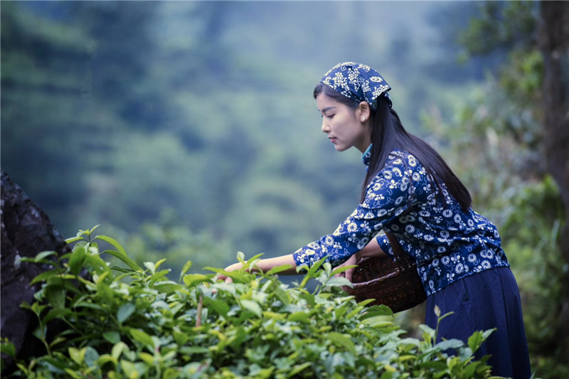中国饮茶与健康的起源和历史