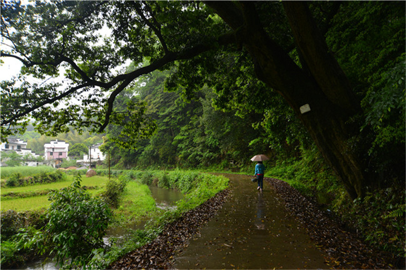西源——石峡谷韵春意浓