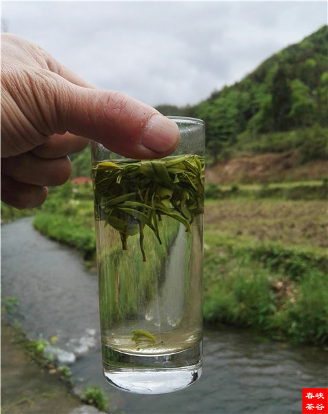 品的是茶,悟的是岁月