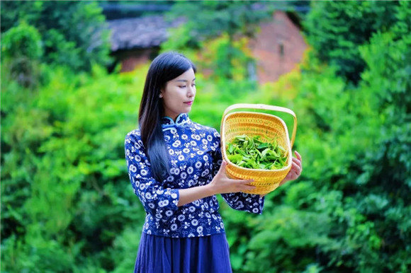 走进婺里茶乡,让生命皈依自然的本真