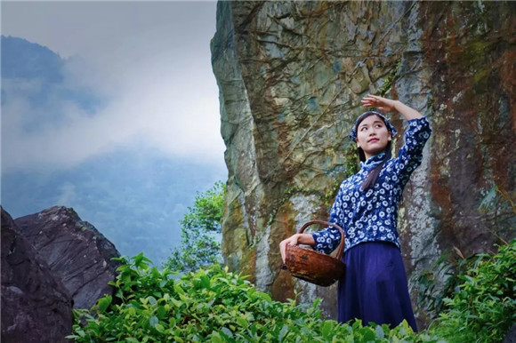 走进婺里茶乡,让生命皈依自然的本真