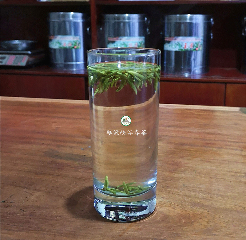 健康长寿,多喝茶