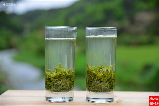婺源峡谷春春雨茶