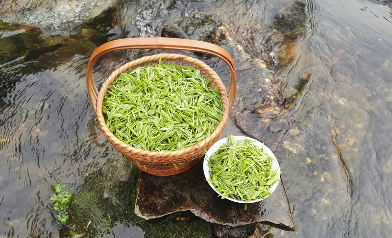 日常喝茶对身体保健很有益处 日常喝茶对身体保健很有益处
